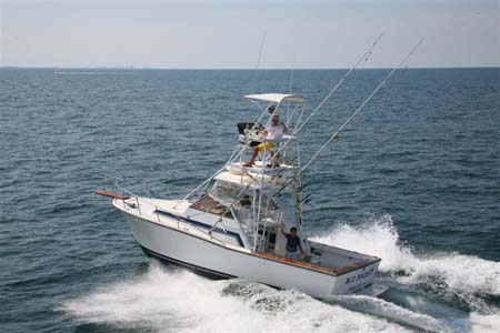 TCBA 2009 492